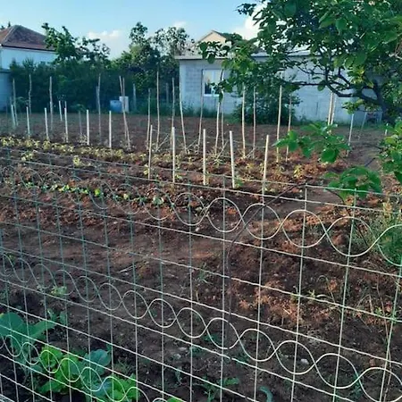 House With The Ecogarden At The End Of The Village *
