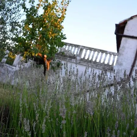 House With The Ecogarden At The End Of The Village *